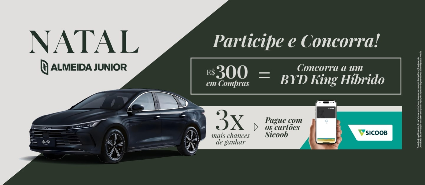 Promoção de Natal 2024